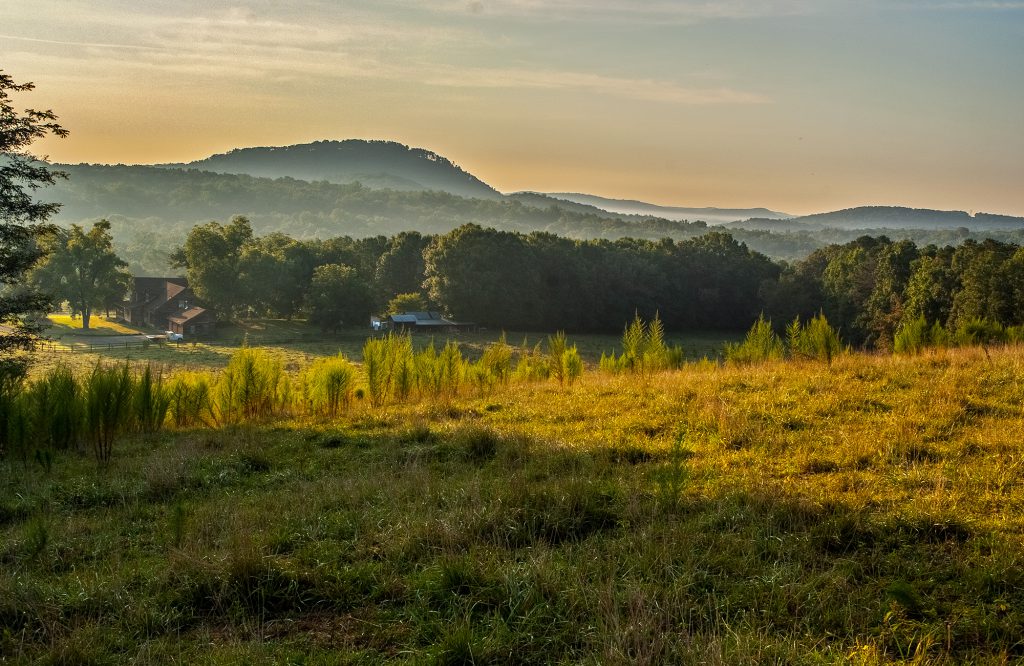 Valley Drive Sunrise